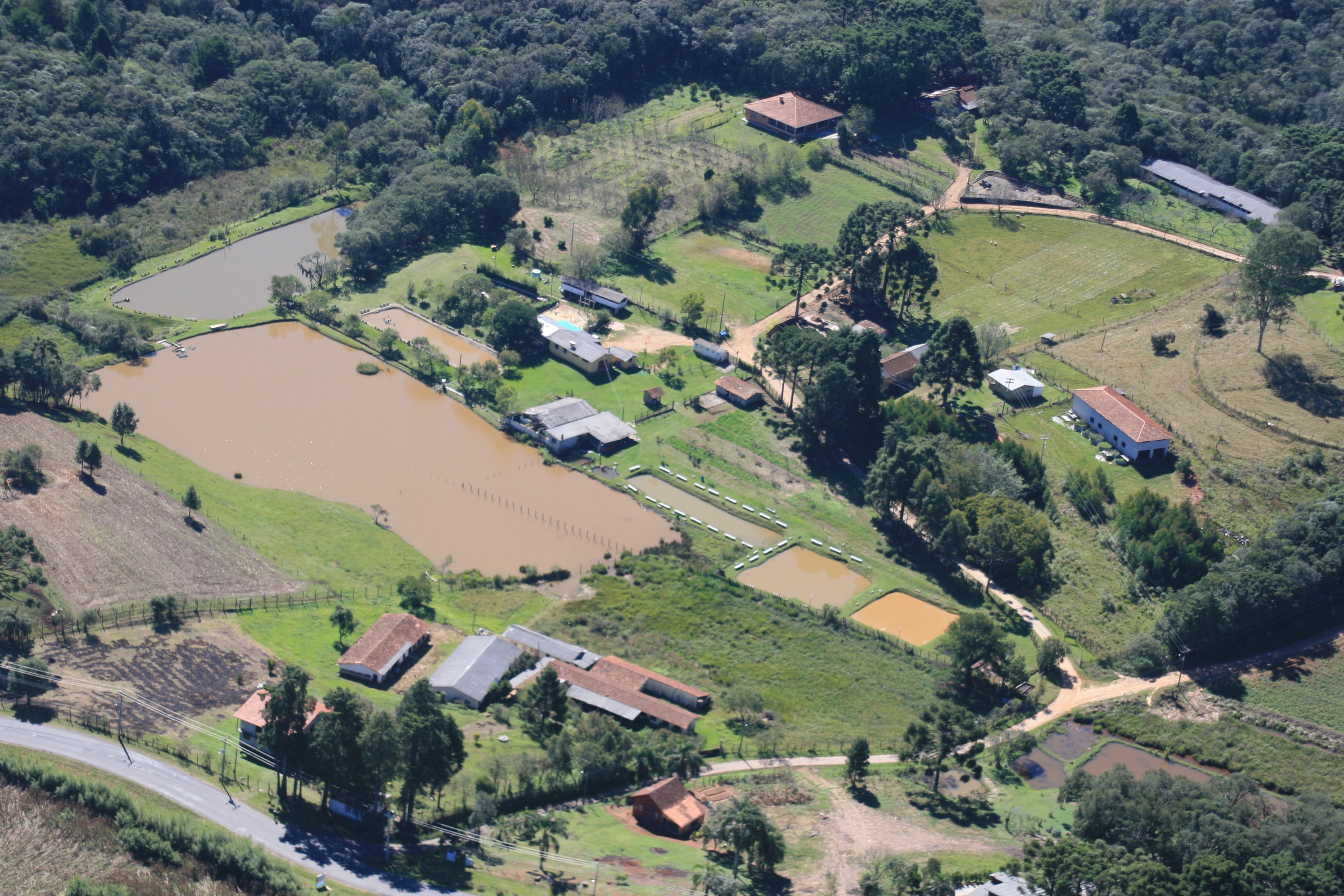 Novo site Pesk e Pag Bom Pescador